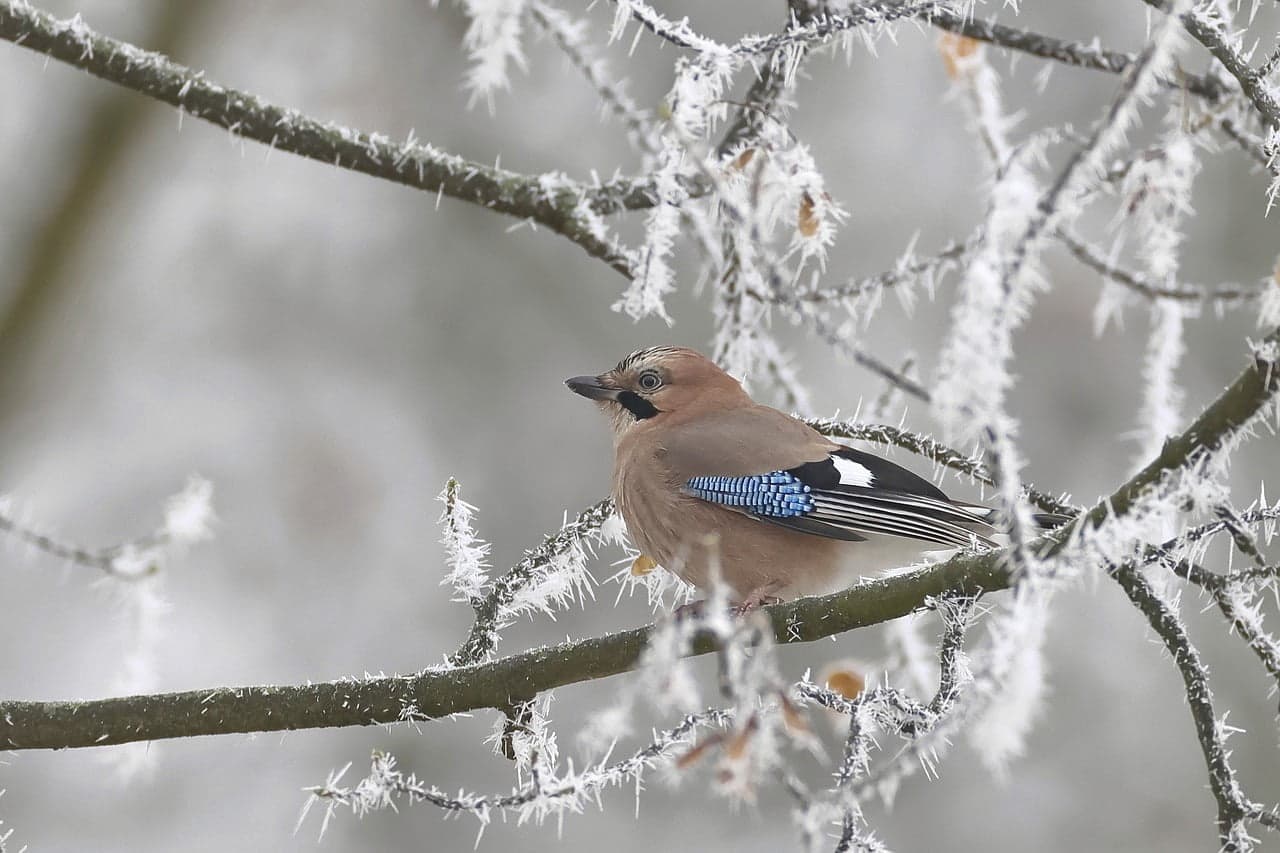 home alone? what folds you hostage to fear of rejection?