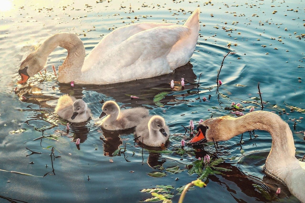 What are the bad habits you are not aware of ?