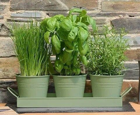 81nEDtzpI1L._AC_UL480_FMwebp_QL65_