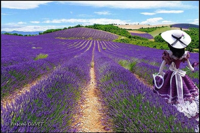 Want to create Picture Perfect Memories?Take a tour around Gorges of Verdon and Fields of Lavender in Provence