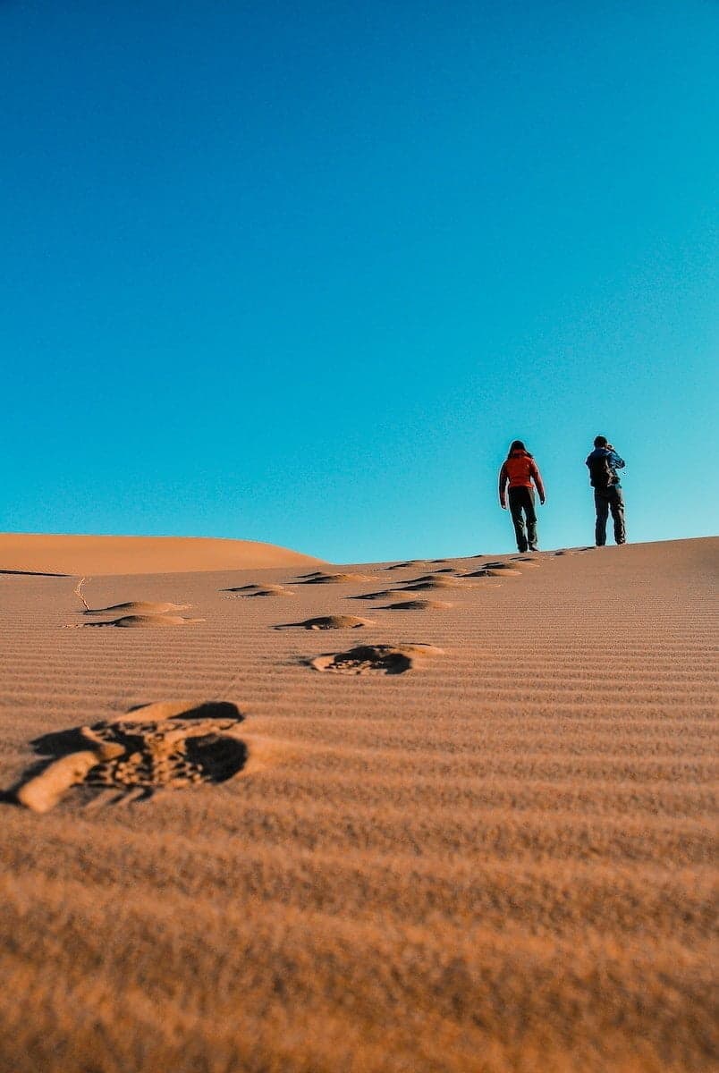 what needs to happen to find the courage and self-trust you need to dream?