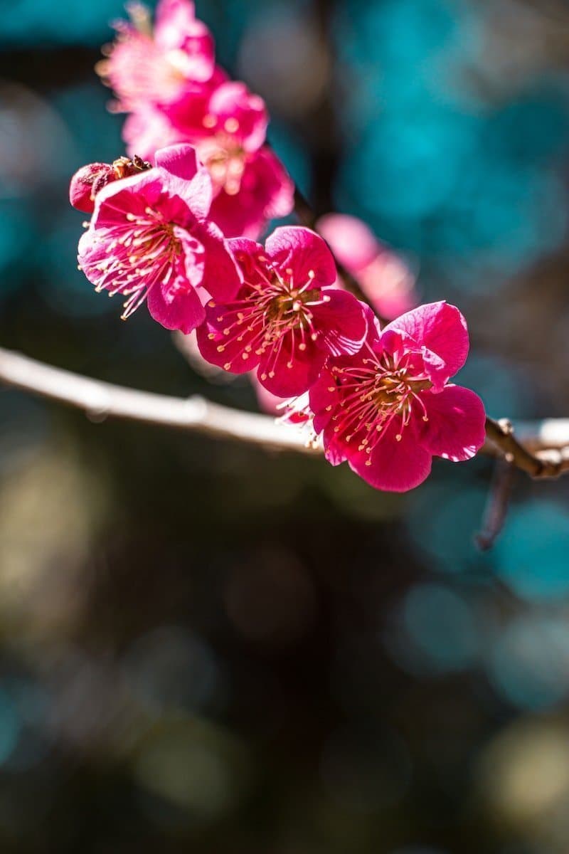 Can you clear What holds you back?