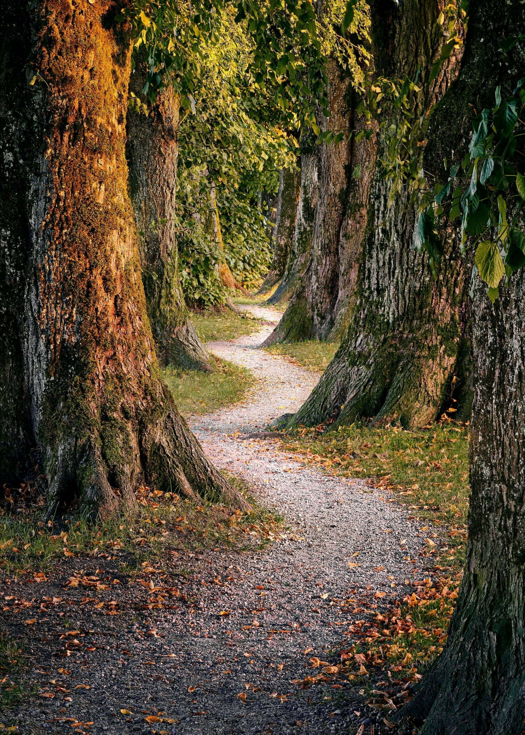 Can you find yourself in a world where you feel disconnected?