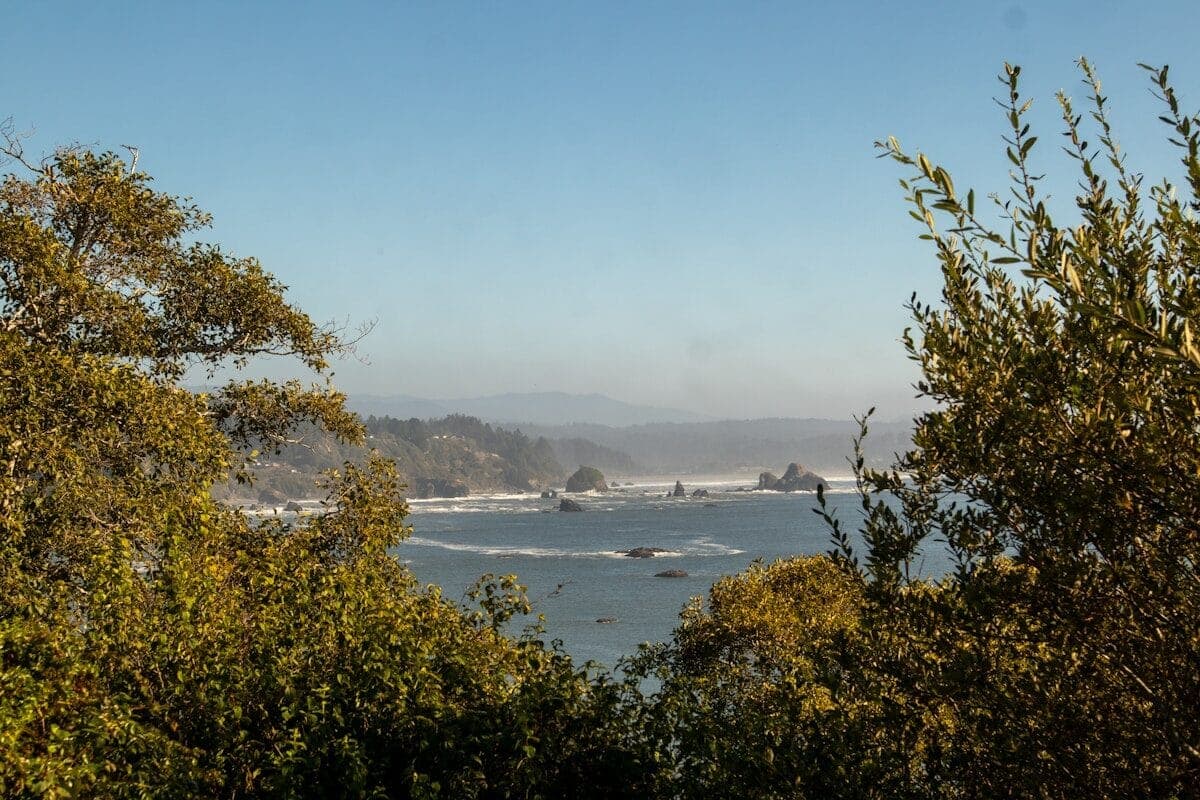 A view of a body of water through some trees