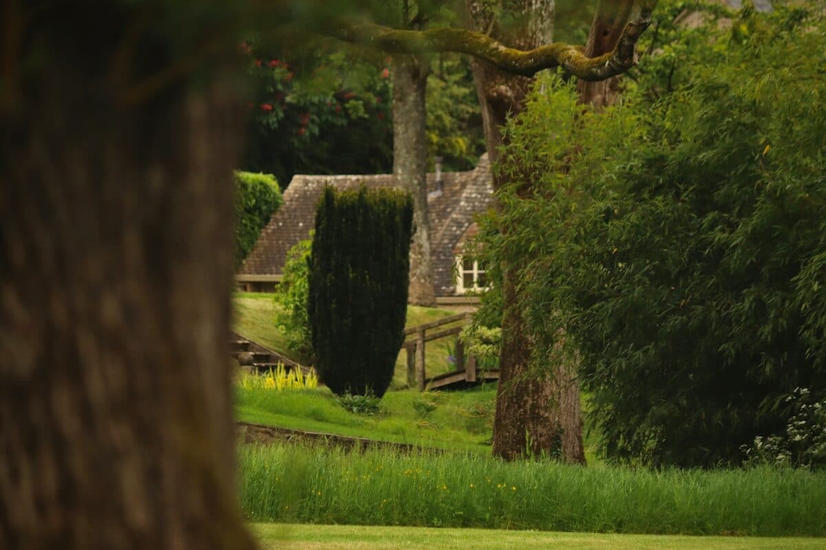 a house in the distance with a tree in the foreground