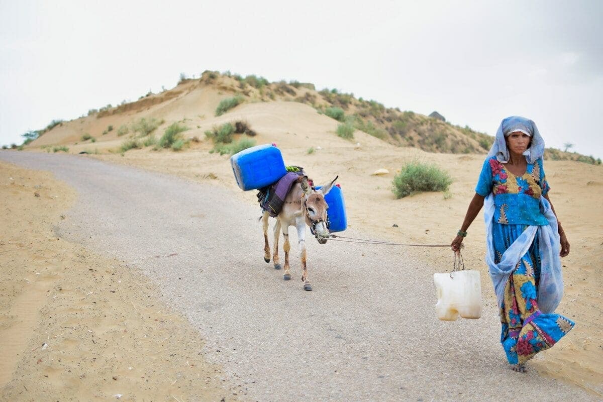 woman walking with brown donkey