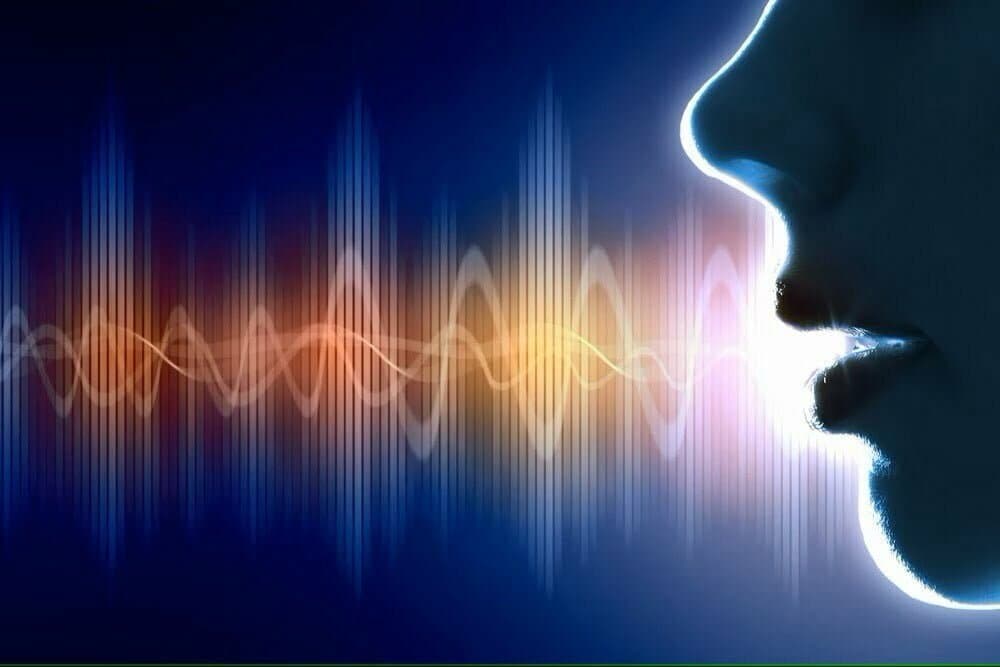 voice_biometric