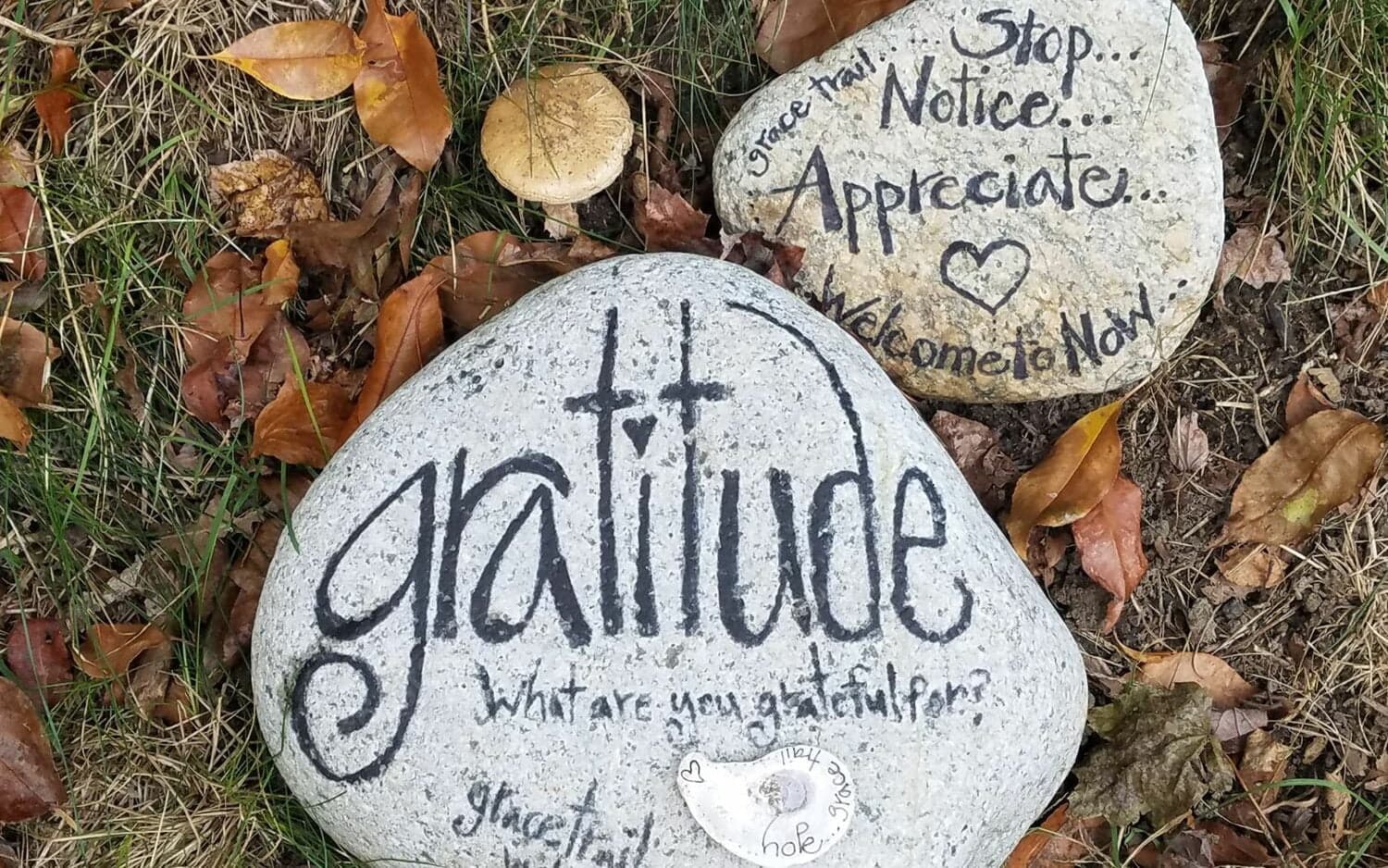 stock-photo-gratitude-what-are-you-grateful-rock-1230323566
